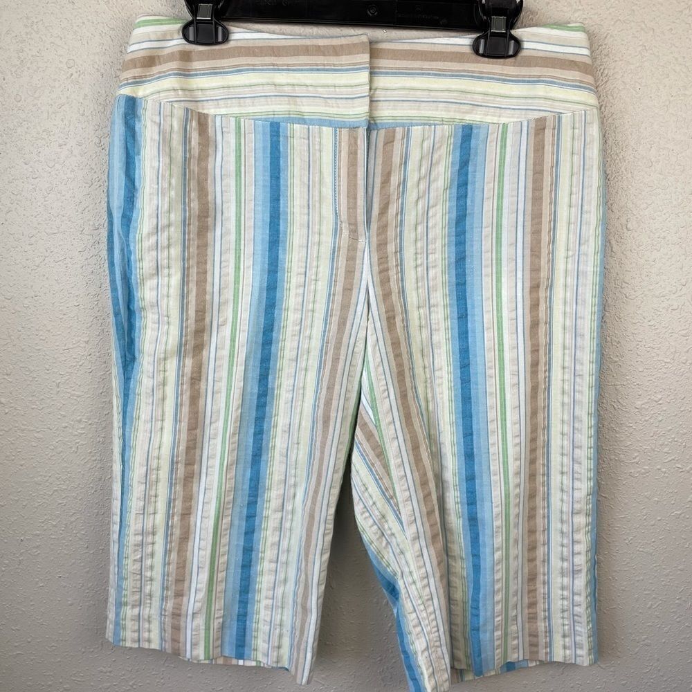 NWT Nine & Co. Striped Shorts Size 10